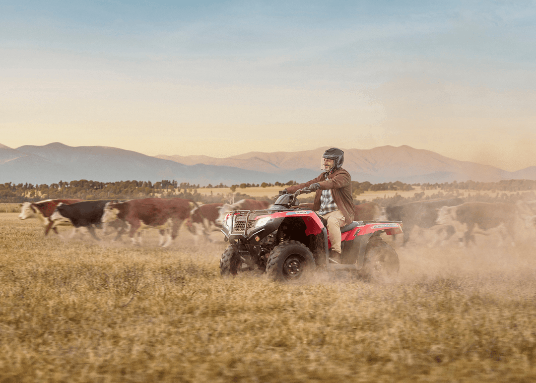 Portada de Almacén y Honda le dan la bienvenida al Honda TRX420