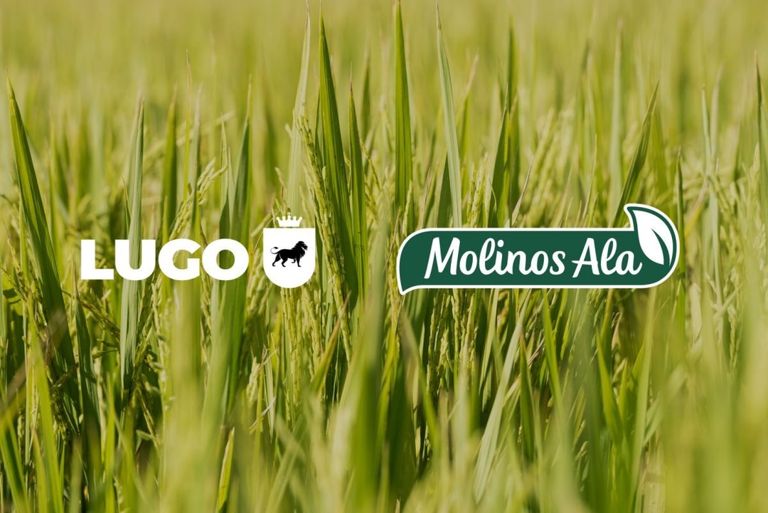 Portada de Lugo empieza a trabajar con Molinos Ala