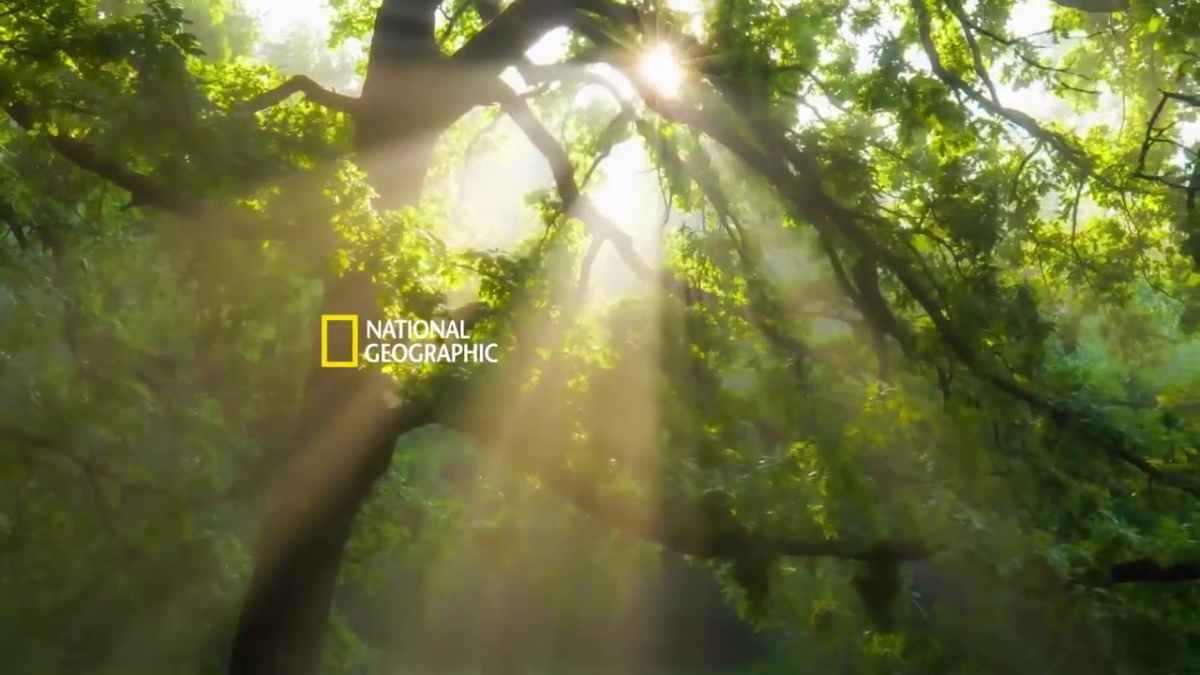 Portada de PepsiCo se une a National Geographic para lanzar la campaña “Planet Love” 