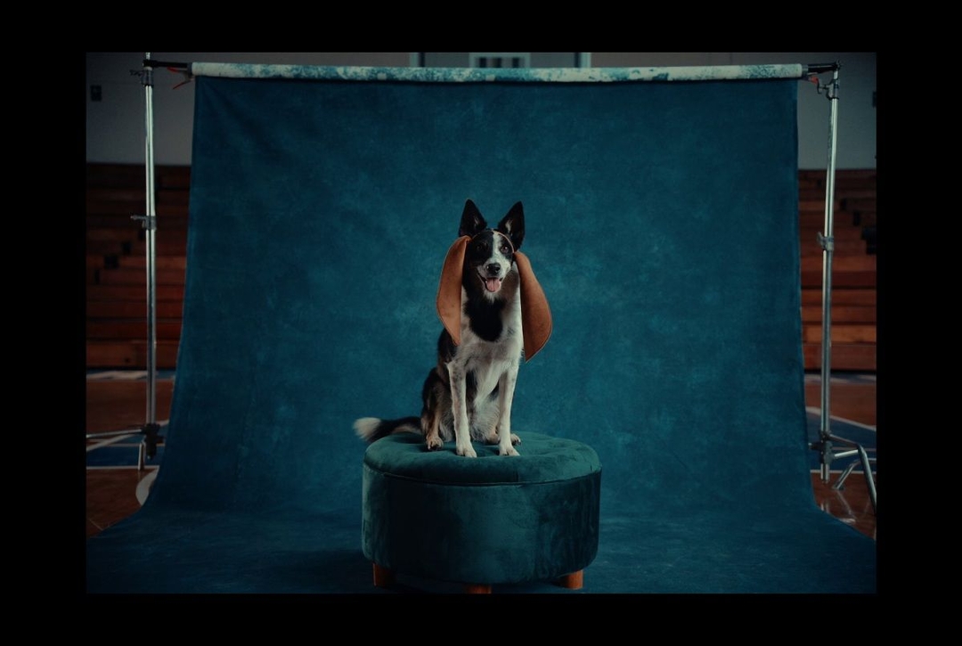 Portada de The Juju Perú, destacada con Hush Puppies en Ads of the World